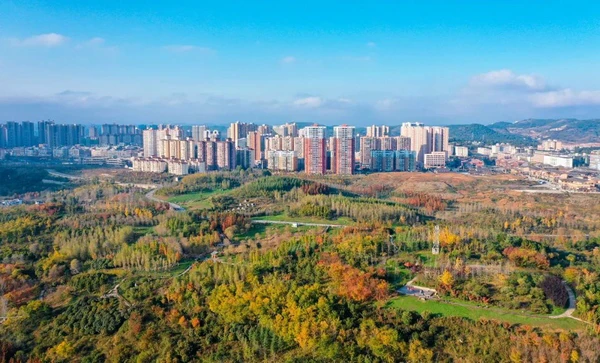 职业球员如何通过联赛提升竞技水平_1